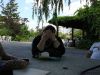 DSC00178.jpg