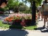 DSC00404.jpg