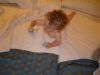DSC00795.jpg